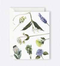 Botanicals