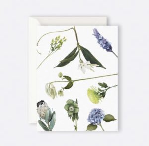 Botanicals