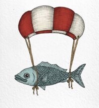 Flying Fish